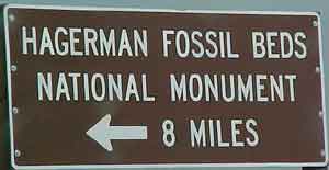 Fossil Beds?